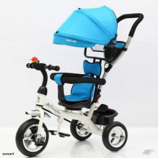 Canopy Tricycle with pushing bar- 4 colour choose-Free shipping